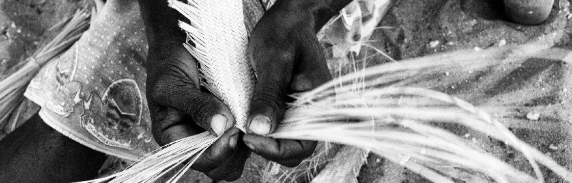 Friends of vamizi trust