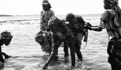 Vamizi - community 1