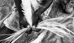 Vamizi - community 3